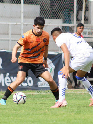 Jaguares sin garras