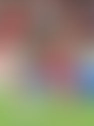 Alemania rebaja la euforia española