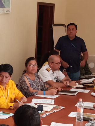 Unen esfuerzos Veracruz, Chiapas y Oaxaca contra incendios forestales