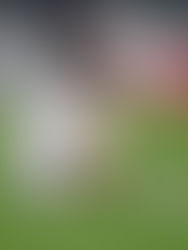 La Juve pierde hasta en la bolsa