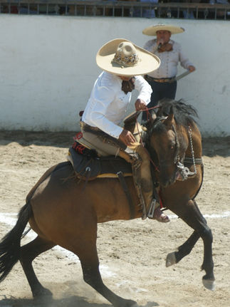 Compiten en La Candelaria