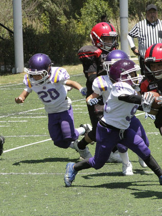 Se acercan a la definción