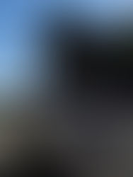 Accidente carretero cobra la vida de agentes mexicanos y estadounidenses en el norte