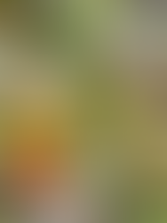 Desperdicio de alimentos cuesta 25 mil mdd por año