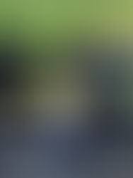 Ganan el Torneo Patrio