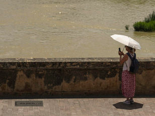 Alerta climática global: El estrés térmico se intensifica y suma hasta 50 días de calor extremo al año