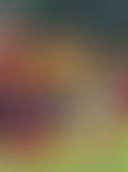 San Luis elimina a León y accede a los cuartos de final del fútbol en México