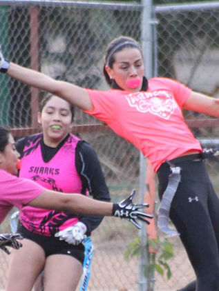 Kraken con tarde dividida