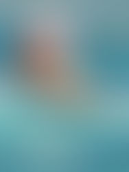 Más de 500 a la alberca