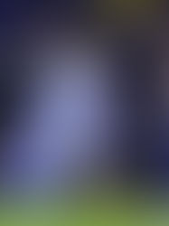 Mundial de Clubes 2025 ;León fuera del Mundial de Clubes