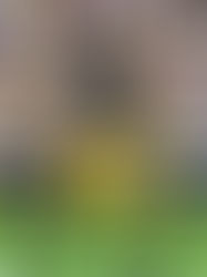 Rodgers quiere volver con Packers