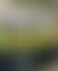 Reconocen trayectoria de Medinleyco