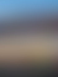 Todo listo para el domingo