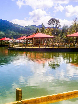 Crecimiento de mancha urbana amenaza a humedales en Chiapas