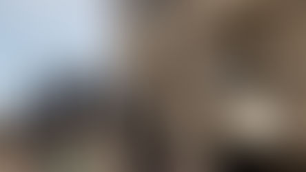Catástrofe en Venezuela: Suman 1,450 muertos y estiman daños por 6,700 millones de dólares