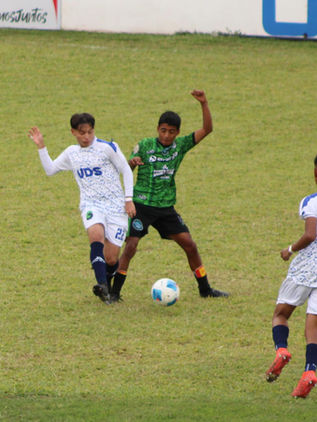 Sigue sin levantar la UDS