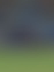 Canel’s sigue siendo regular