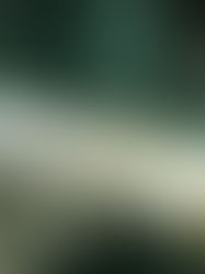 Rechaza corte de Texas suspender ejecución de reo mexicano