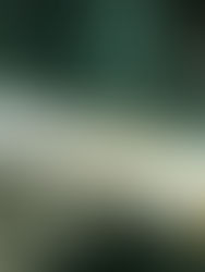 Rechaza corte de Texas suspender ejecución de reo mexicano