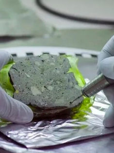 Cómo se conserva el ADN en sedimentos arqueológicos