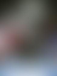 Triunfo con dedicatoria