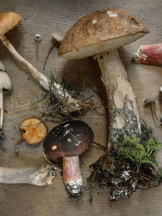 Psicodélicos podrían tener beneficios sobre estado de ánimo