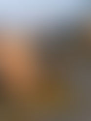 Denuncian ante la Fiscalía delitos ambientales tras desastre petrolero