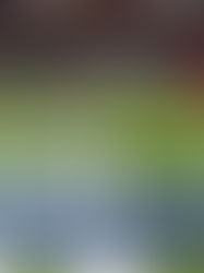 NFL cancela el juego en México