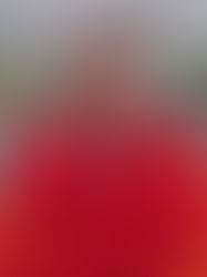 Andrés Olivas busca la gloria en la Copa Mundial de caminata en Brasil