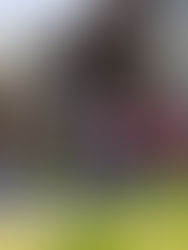 Grupos y activistas aportan propuestas para una reforma a la ley de migración