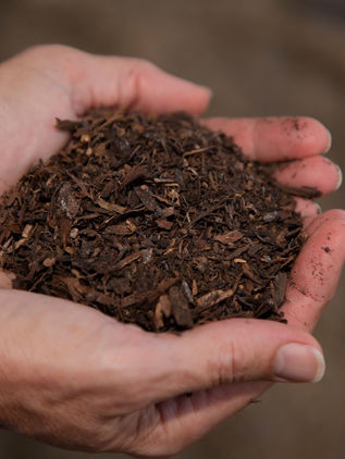 Crean composta de cadáveres humanos para ayudar al medio ambiente