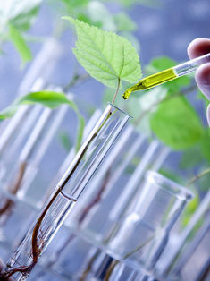 La biotecnología moderna no debe ser estigmatizada por la propuesta de ley de CyT