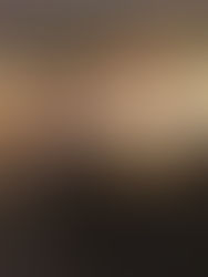 Ponen en marcha el estatal