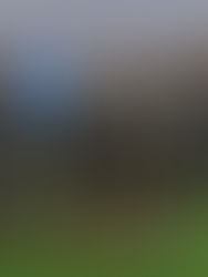 México se encontrará en el grupo A con Costa Rica, R. Dominicana y Surinam