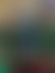 México se Corona como Campeón de la Copa Oro 2023