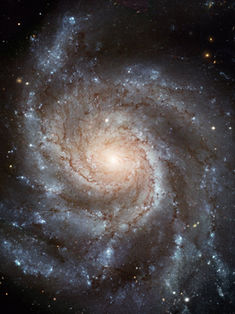 Concreta sociedad científica alemana apoyo en México a grupo de trabajo en astrofísica