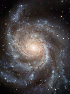 Concreta sociedad científica alemana apoyo en México a grupo de trabajo en astrofísica