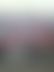 Un estatal muy competitivo