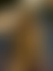 Arrestan a 6 marinos, acusados de robo en Tabasco