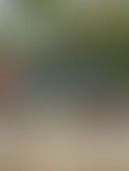 Listos para medio maratón