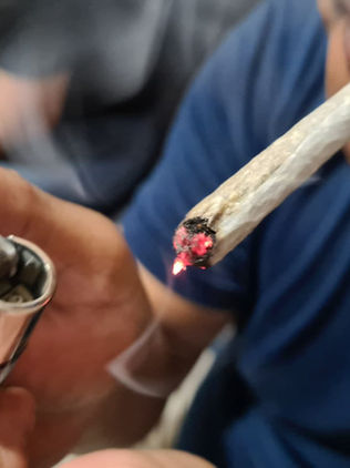 Cuanto más temprana es la edad de inicio del consumo de drogas más rápido se es adicto