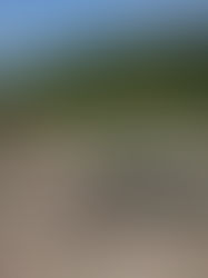 Chiapas en la "zona cero": Calor y sequía extrema golpearán más fuerte a regiones tropicales