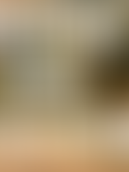 COMPARTIENDO DIÁLOGOS CONMIGO MISMO