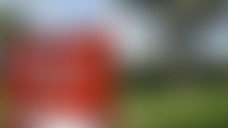 Rescate histórico: Gobierno federal asegura protección de monumentos en Toniná mediante expropiación.