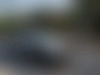 Detienen al sobrino del exlíder del Cártel del Golfo en el norte de México