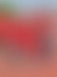 Destacan en evento infantil