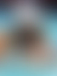 El Delfín elige a los rápidos