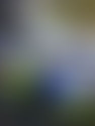 García Jr suma puntos