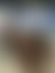 Avanzan a las finales