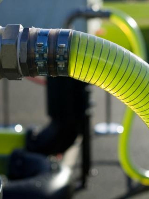 Físicos crean fórmula para producir gasolina a partir de algas